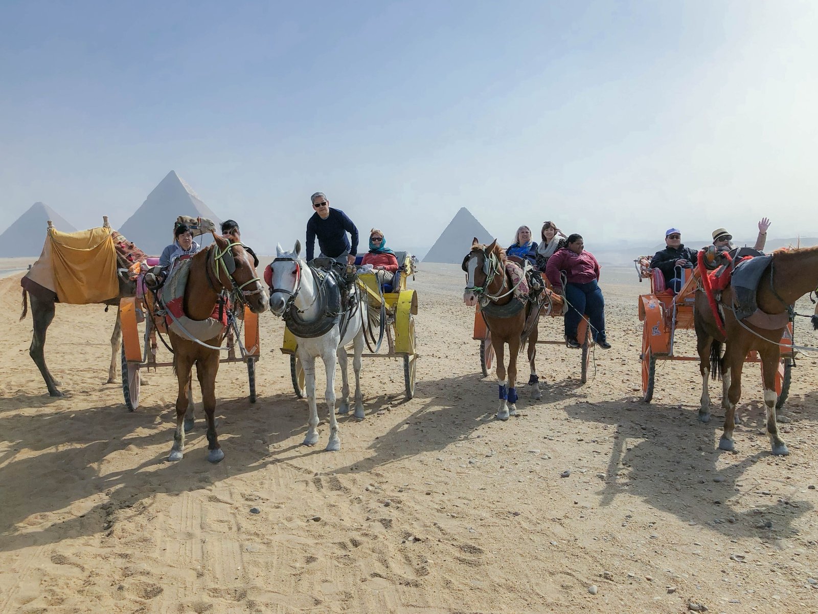 Tours & Experiences