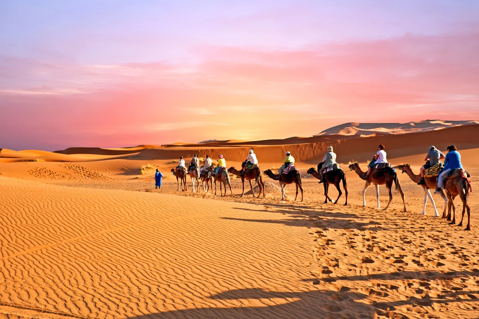 Camel Riding