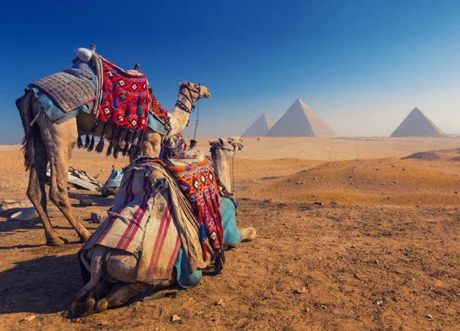 Giza photo 4