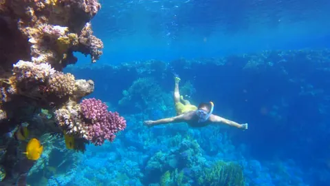 Snorkeling photo 1