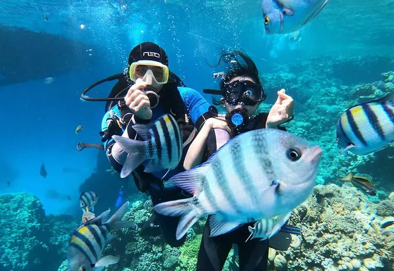Snorkeling photo 2