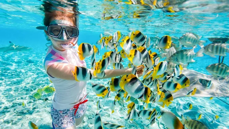 Snorkeling photo 3