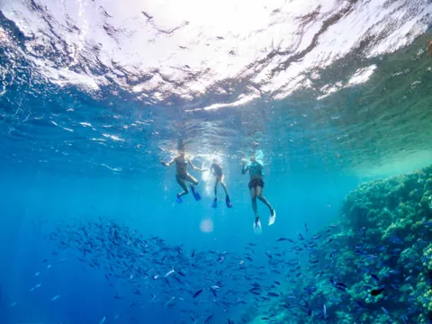 Snorkeling photo 5