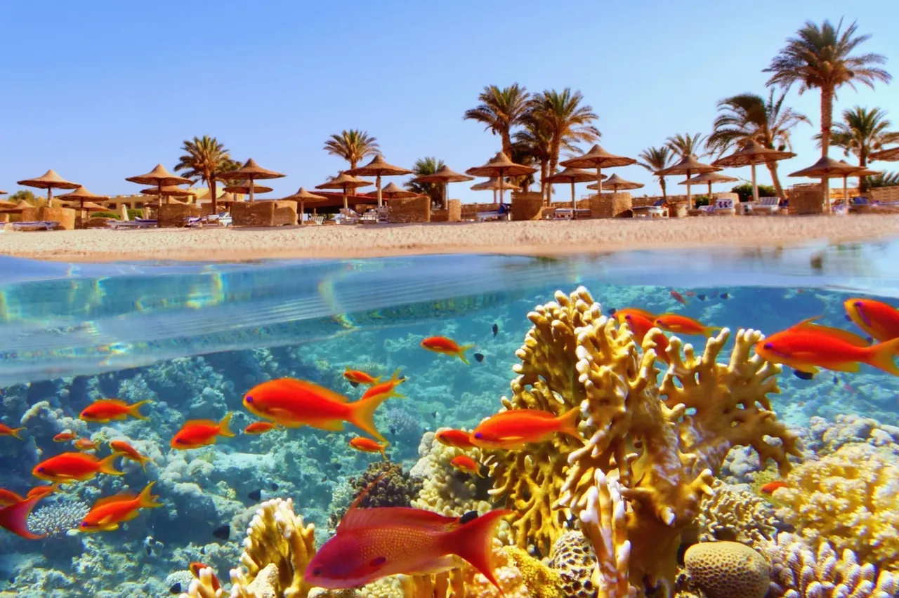 Hurghada photo 8