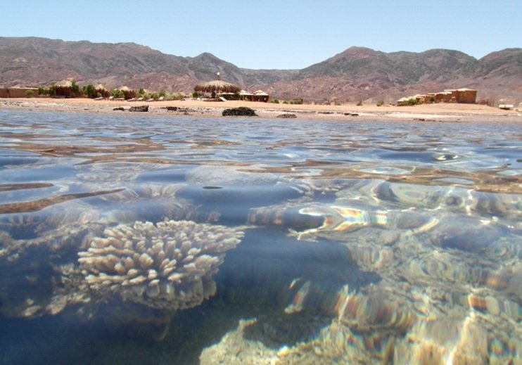 Nuweiba photo 6